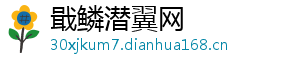 戢鳞潜翼网